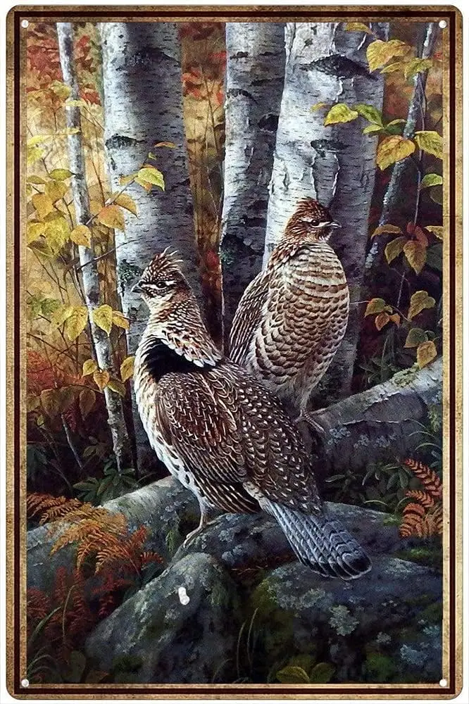 Home Bathroom Sign - Vintage Metal Sign Grouse Ruffed Wildlife